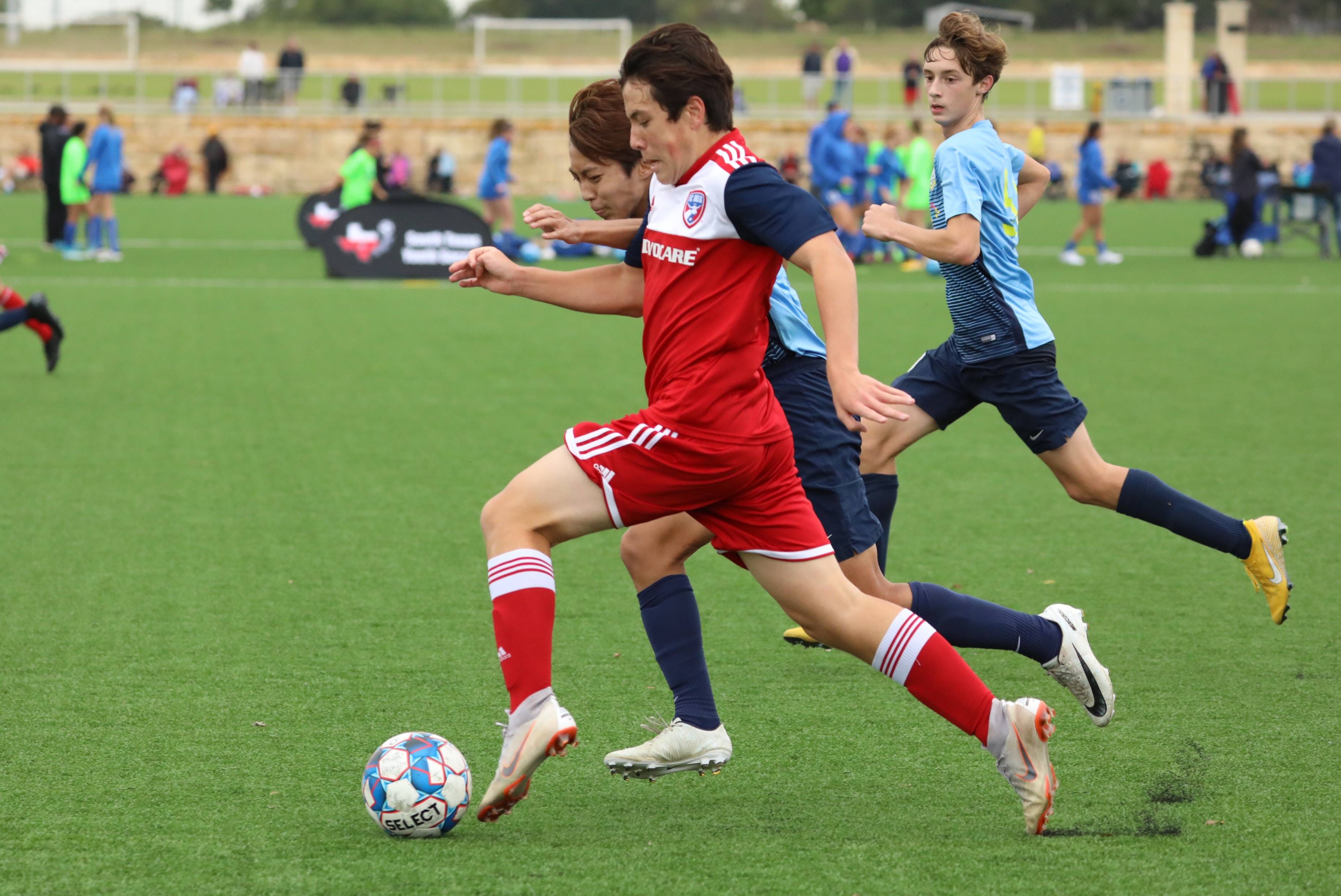 球队提供了 球队提供了