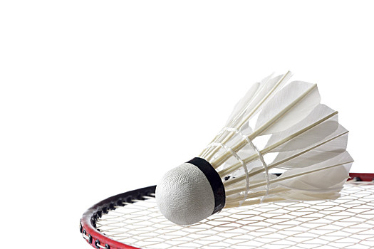 關鍵因素 關鍵因素